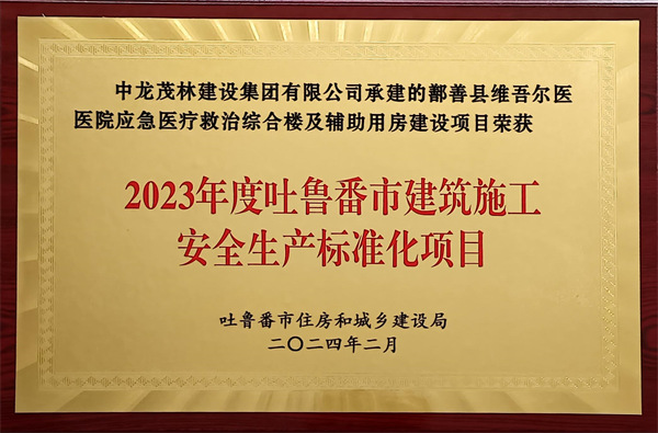 2024年鄯善縣維吾爾醫(yī)醫(yī)院應(yīng)急醫(yī)療救治