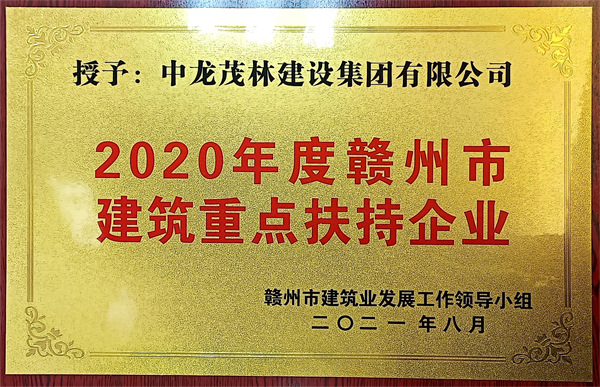 2020年度贛州市建筑重點扶持企業(yè)